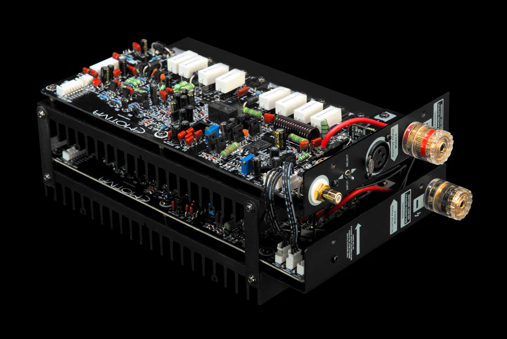 XPA-DR1 Differential Reference™ Monoblock Power Amplifier - Image 8